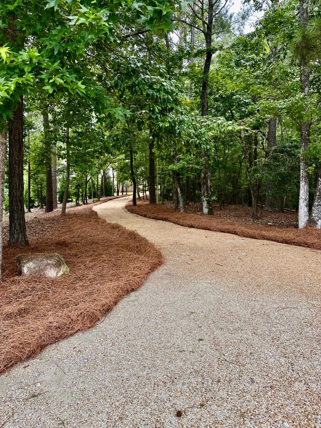 Why Regular Landscaping Maintenance Saves You Money&nbsp;Long-Term