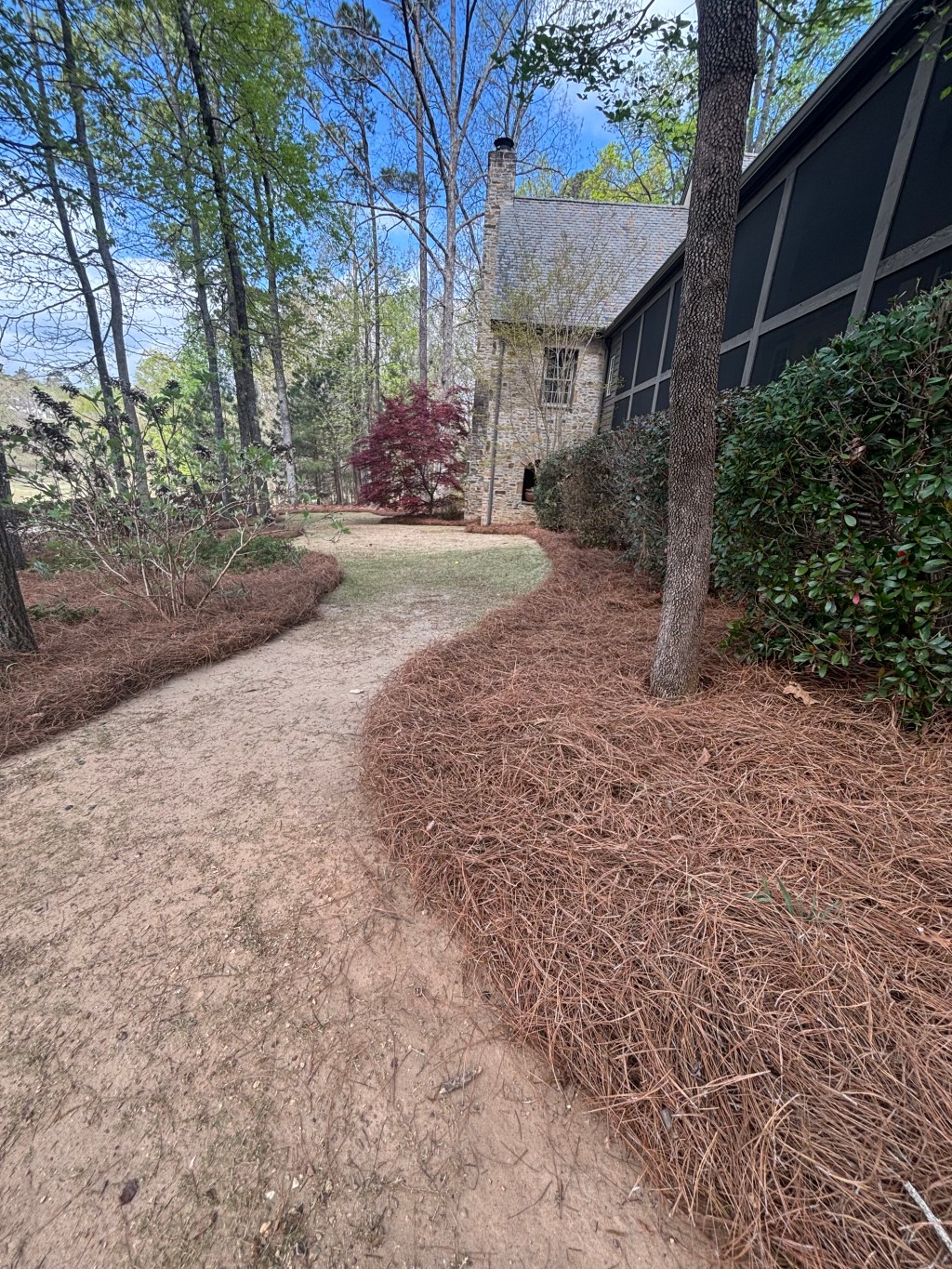 Curved backyard walkway with fresh pine straw mulch beds and wooded landscape leading to screened porch in Opelika Alabama